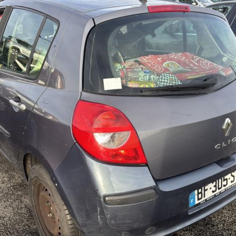 Porte avant droit RENAULT CLIO 3 Photo n°13