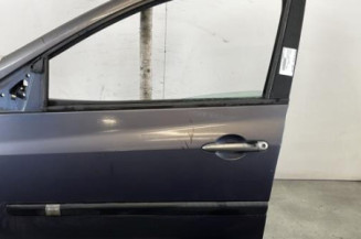 Porte avant gauche RENAULT CLIO 3 Photo n°1