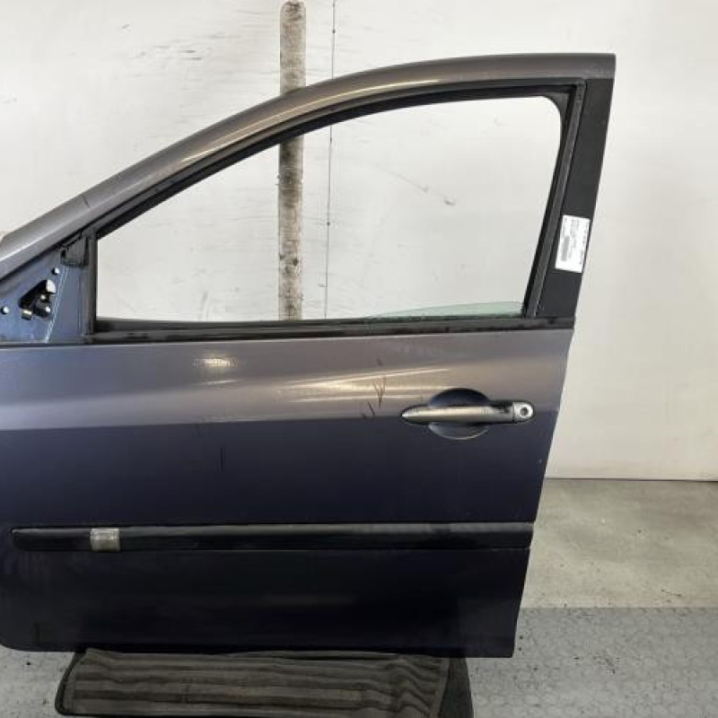 Porte avant gauche RENAULT CLIO 3 Photo n°1