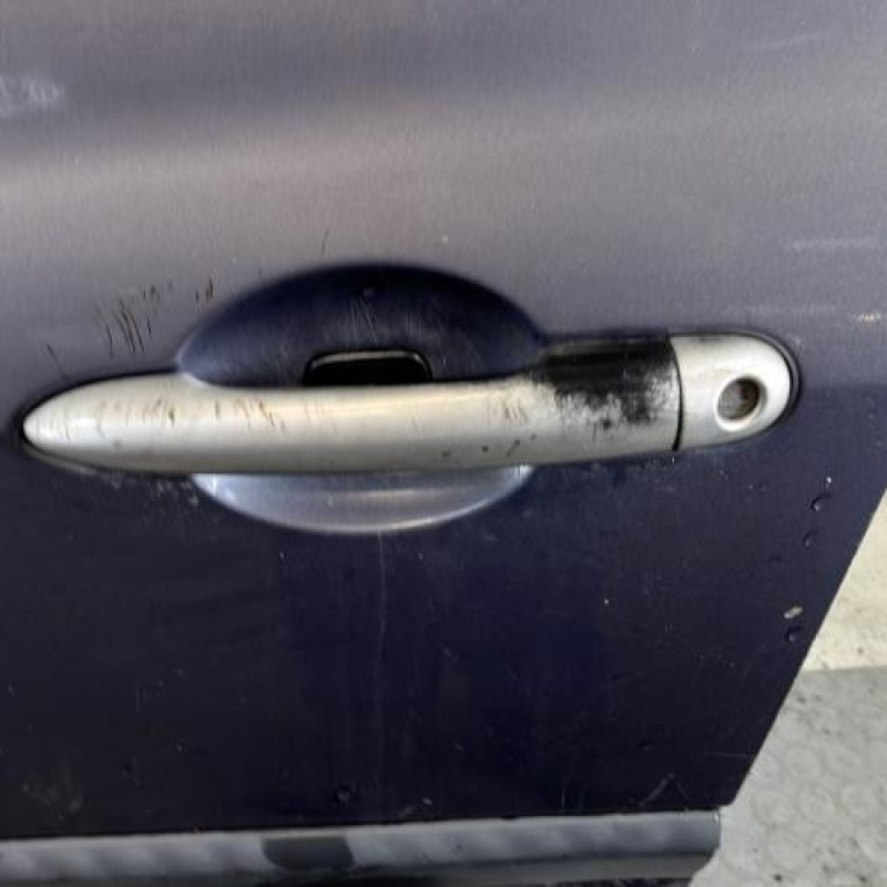 Porte avant gauche RENAULT CLIO 3 Photo n°2