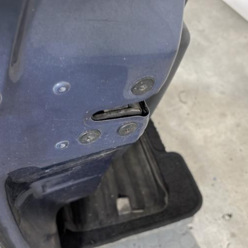 Porte avant gauche RENAULT CLIO 3 Photo n°3