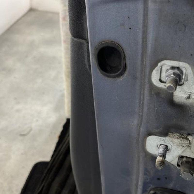 Porte avant gauche RENAULT CLIO 3 Photo n°4