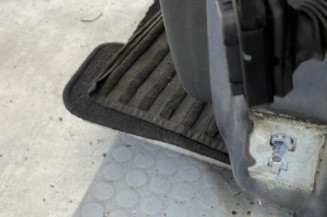 Porte avant gauche RENAULT CLIO 3