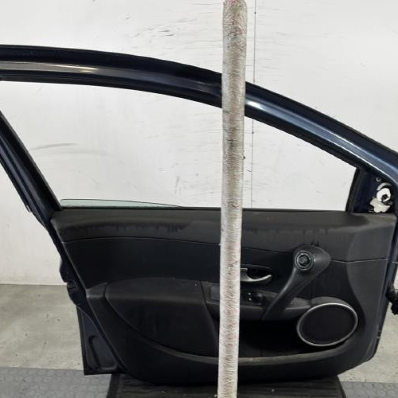 Porte avant gauche RENAULT CLIO 3 Photo n°6