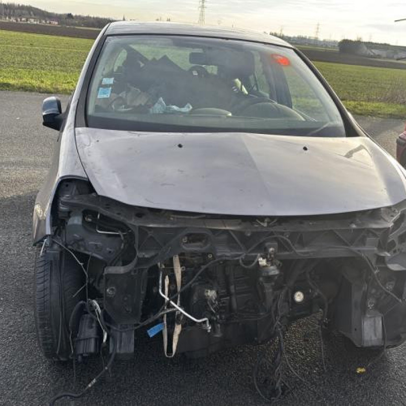 Porte avant gauche RENAULT CLIO 3 Photo n°8