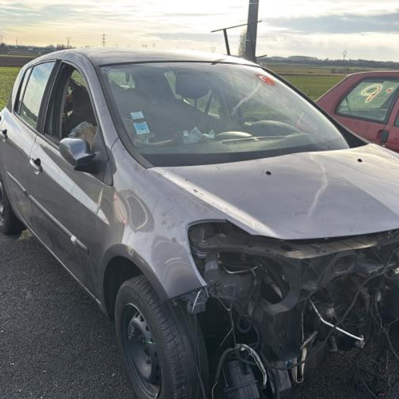 Porte avant gauche RENAULT CLIO 3 Photo n°9