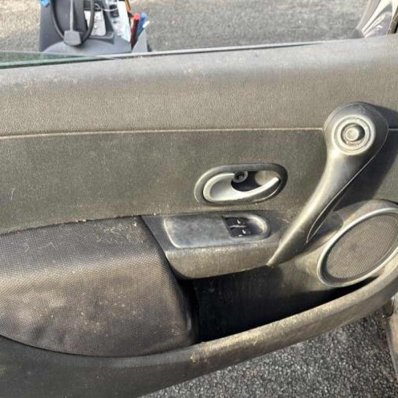 Porte avant gauche RENAULT CLIO 3 Photo n°17