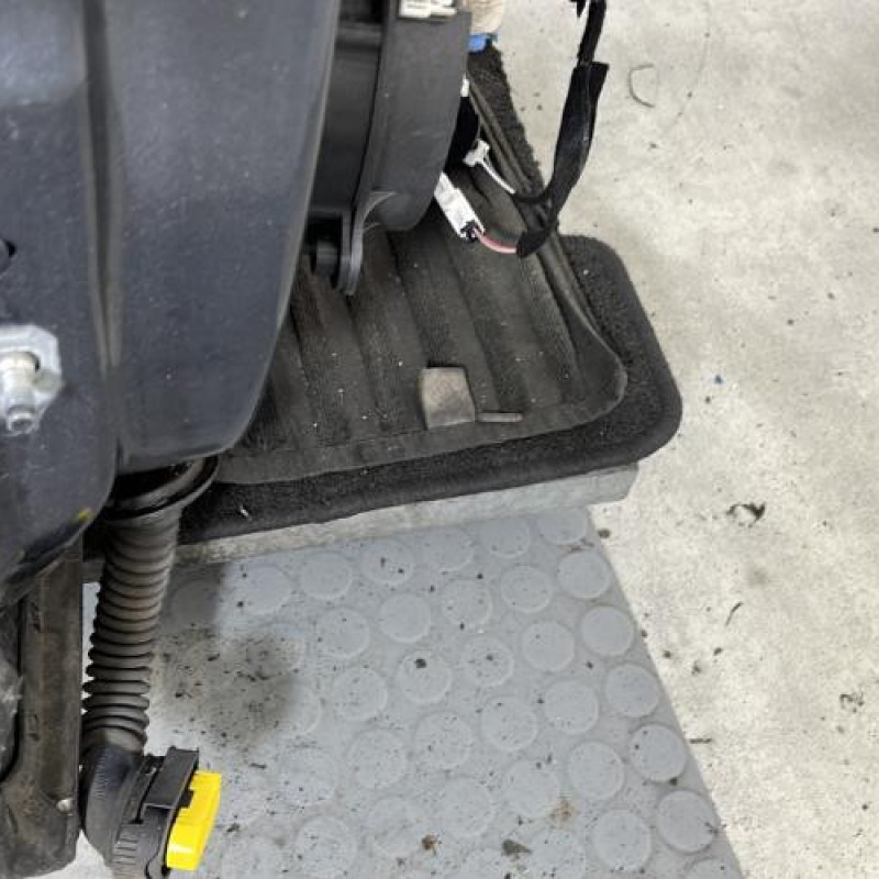 Porte arriere droit RENAULT MEGANE 4 Photo n°3