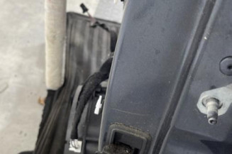 Porte arriere gauche RENAULT MEGANE 4