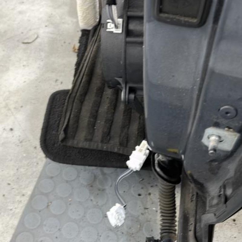 Porte arriere gauche RENAULT MEGANE 4 Photo n°3