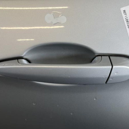 Porte arriere gauche BMW X1 E84