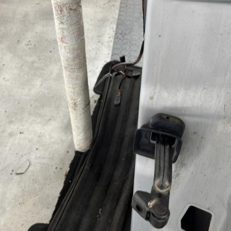 Porte arriere gauche BMW X1 E84 Photo n°3