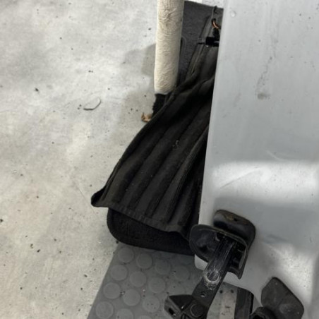 Porte avant gauche BMW X1 E84