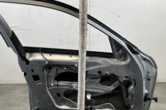 Porte avant gauche BMW X1 E84