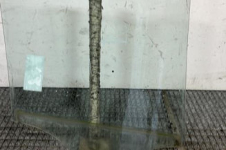 Vitre arriere gauche BMW X1 E84