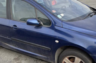 Pompe de direction PEUGEOT 307