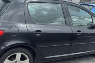 Pompe de direction PEUGEOT 307