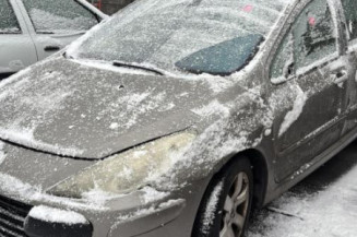 Pompe de direction PEUGEOT 307 Photo n°1