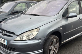 Mastervac PEUGEOT 307 Photo n°1