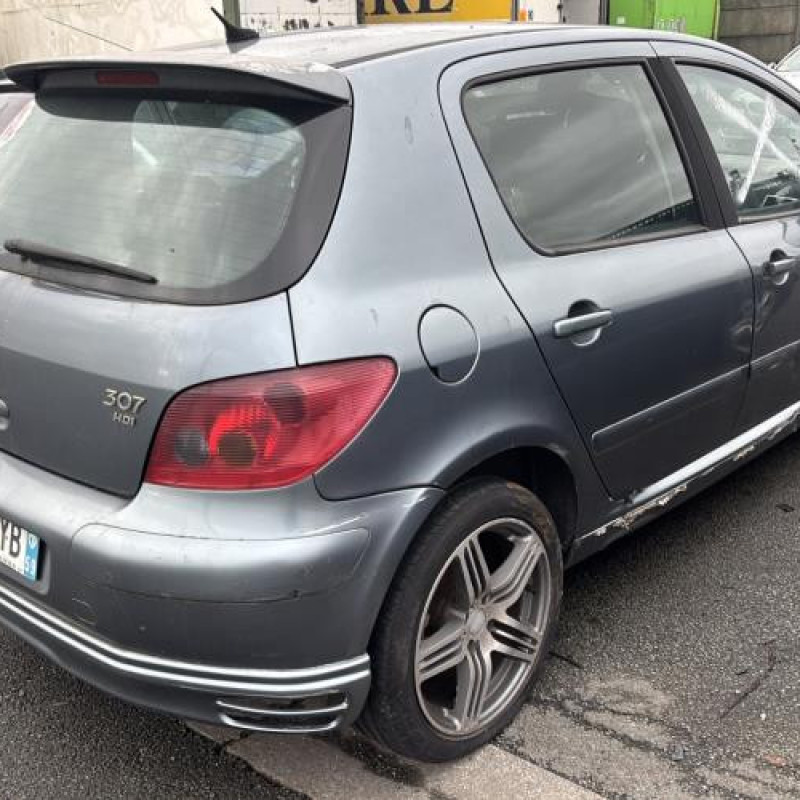 Mastervac PEUGEOT 307 Photo n°5