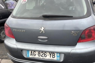 Mastervac PEUGEOT 307