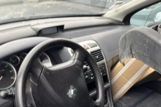 Mastervac PEUGEOT 307