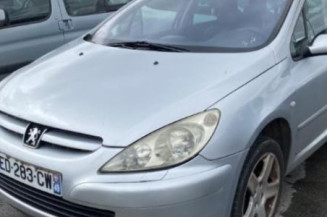Arret de porte arriere gauche PEUGEOT 307