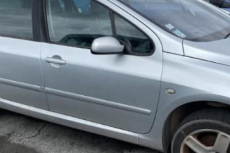 Arret de porte arriere gauche PEUGEOT 307