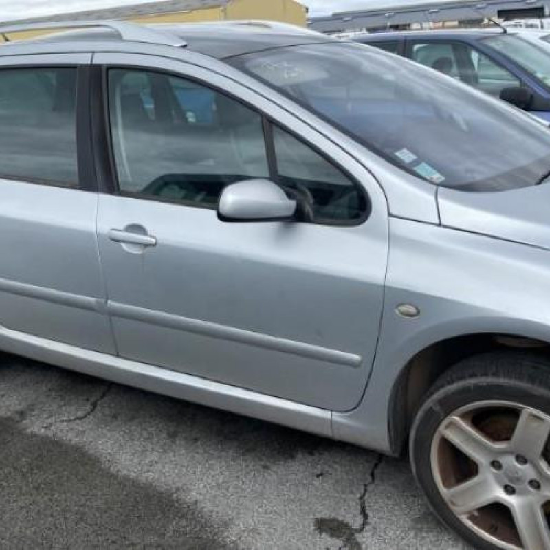 Arret de porte arriere gauche PEUGEOT 307 Photo n°6