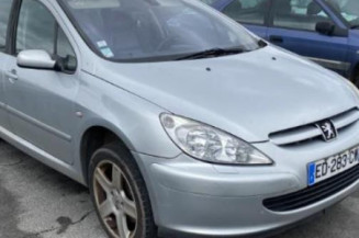 Arret de porte arriere gauche PEUGEOT 307