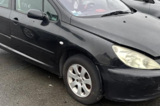 Arret de porte arriere gauche PEUGEOT 307