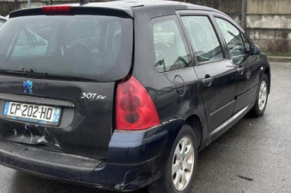Arret de porte arriere gauche PEUGEOT 307