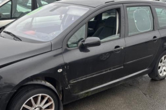 Arret de porte arriere gauche PEUGEOT 307