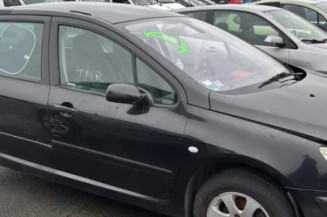 Arret de porte arriere gauche PEUGEOT 307