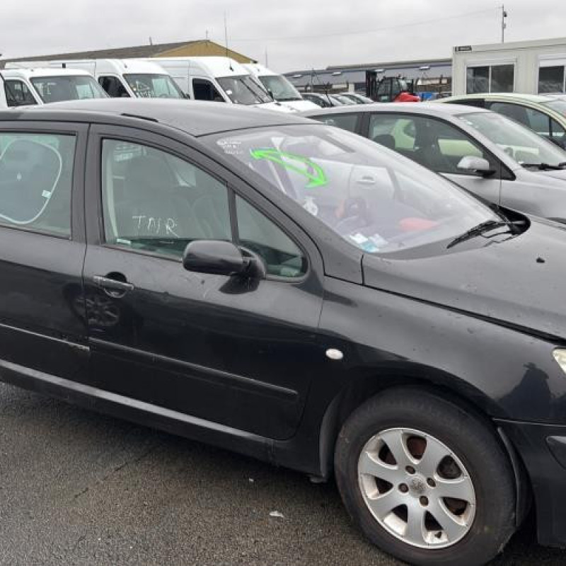 Arret de porte arriere gauche PEUGEOT 307 Photo n°8