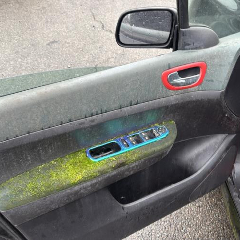 Arret de porte arriere gauche PEUGEOT 307 Photo n°9