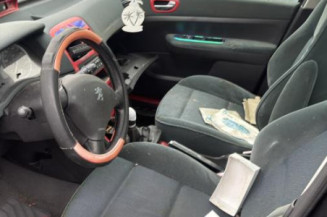 Arret de porte arriere gauche PEUGEOT 307