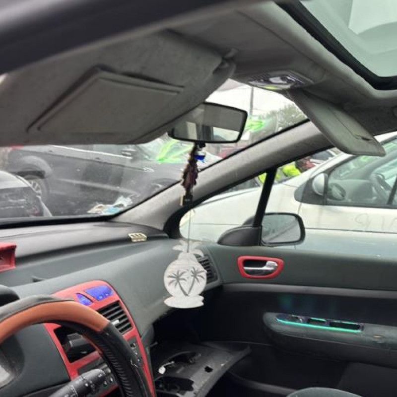 Arret de porte arriere gauche PEUGEOT 307 Photo n°14