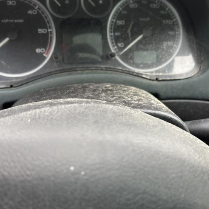 Arret de porte arriere gauche PEUGEOT 307 Photo n°15