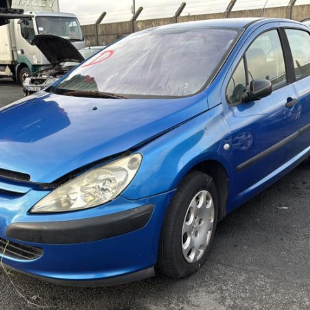 Mastervac PEUGEOT 307 Photo n°1