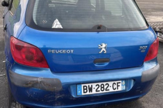 Mastervac PEUGEOT 307