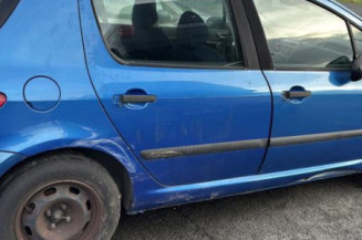 Mastervac PEUGEOT 307