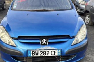 Mastervac PEUGEOT 307