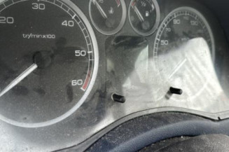 Mastervac PEUGEOT 307