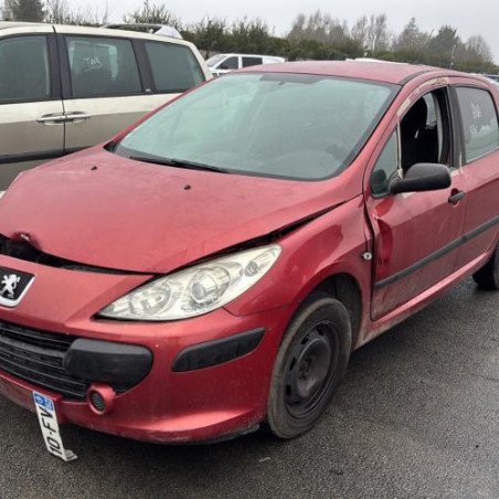 Mastervac PEUGEOT 307 Photo n°1