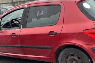 Mastervac PEUGEOT 307