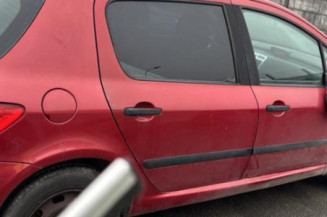 Mastervac PEUGEOT 307