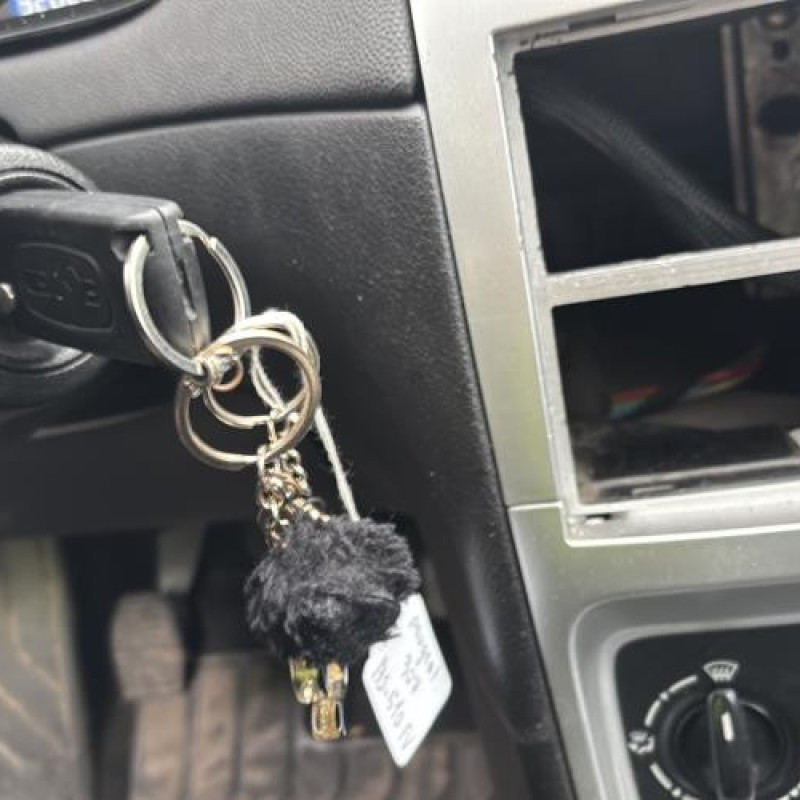 Mastervac PEUGEOT 307 Photo n°17