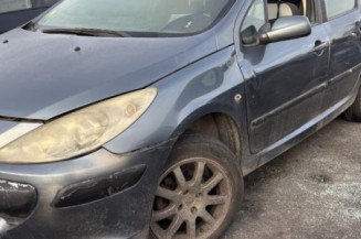 Mastervac PEUGEOT 307 Photo n°1