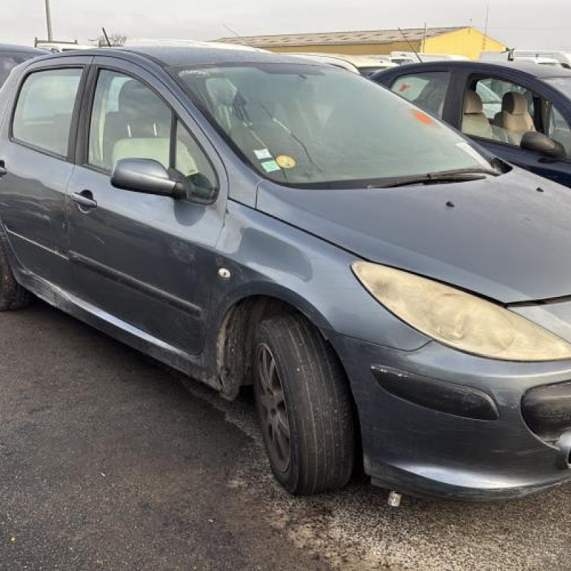 Mastervac PEUGEOT 307 Photo n°2